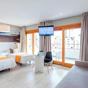 Premium Suite